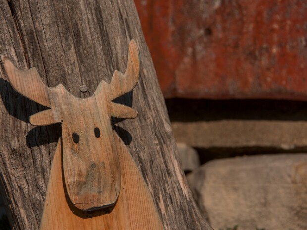 2022.11.13 Monte San Giorgio da Meride