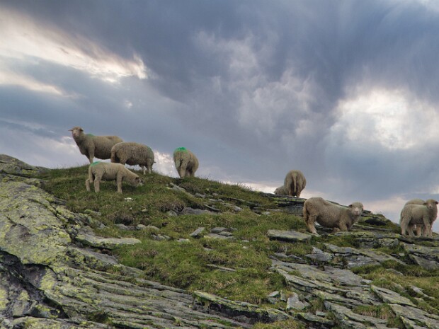 2023.06.18 Laghi Pero e Melo - Bosco Gurin