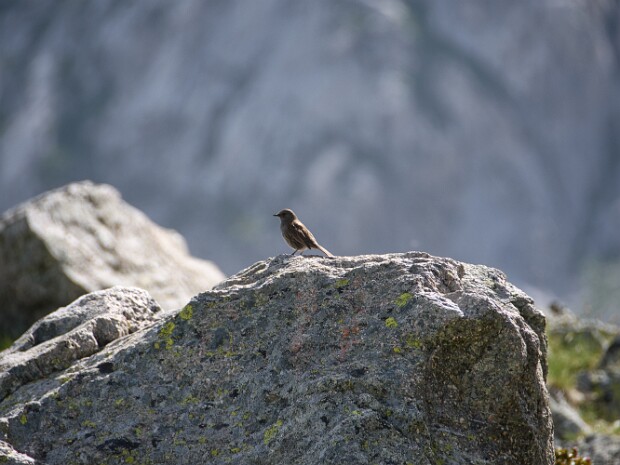 2023.06.22 Rifugio Garelli - Rifugio Don Barbera