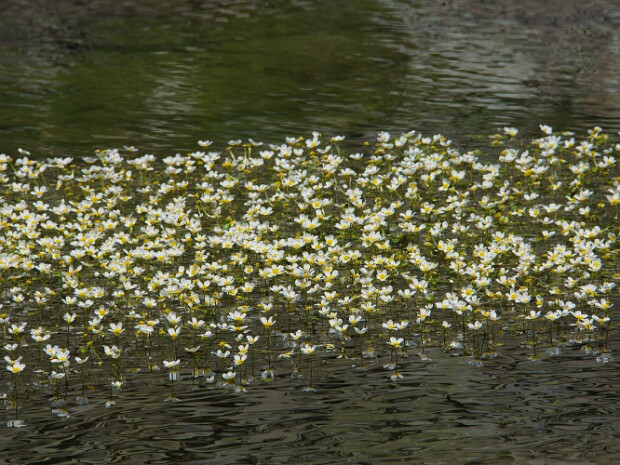 2023.07.20 Rifugio Grand Tournalin
