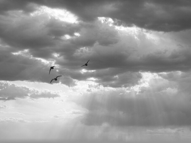 2023.09.18 Oasi Lipu di Massaciuccoli