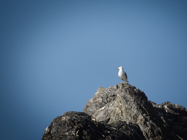 2024.04.20 Cinque Terre