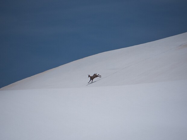 2024.05.26 Lago Panelatte