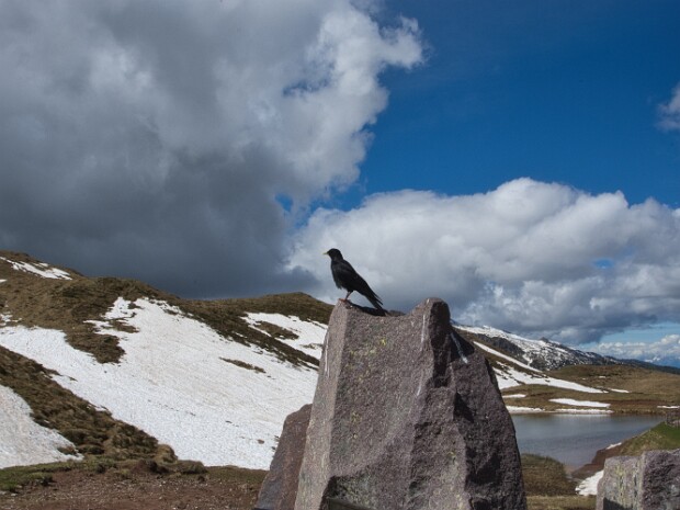 2024.06.04 Passo Rolle - Segantini