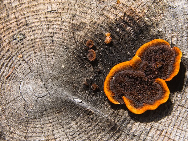 2024.06.05 Val Udai e Val Dona