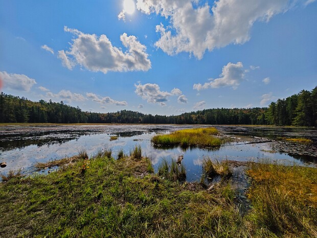 2024.09.15 Ottawa - Algonquin Park - Orillia