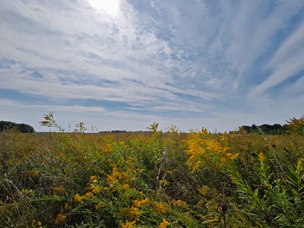 2024.09.18 Toronto - Park Sand Banks - Gananoque
