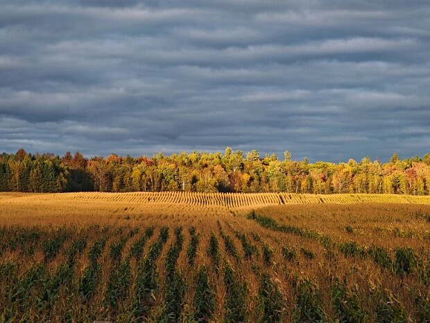 2024.09.27 Trois-Rivieres - Parc du La Mauricie - Saint-Come