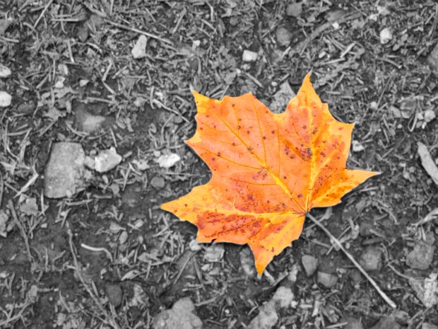 2024.09.14-30 Canada