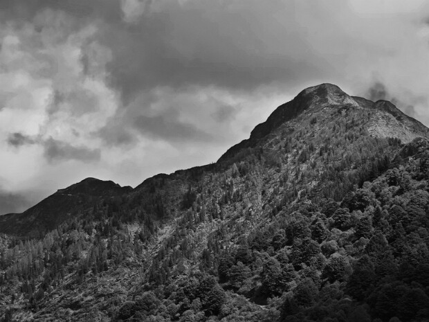 2025.05.24 Gradiccioli - Tamaro - Gambarogno