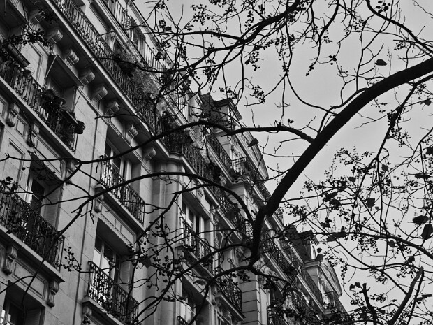 2025.11.20 Quartiere latino