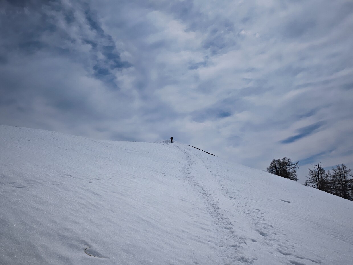 2025.04.12 Testa del Mater