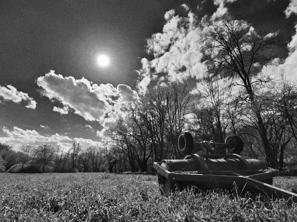 2025.04.21 Parco valle Lanza