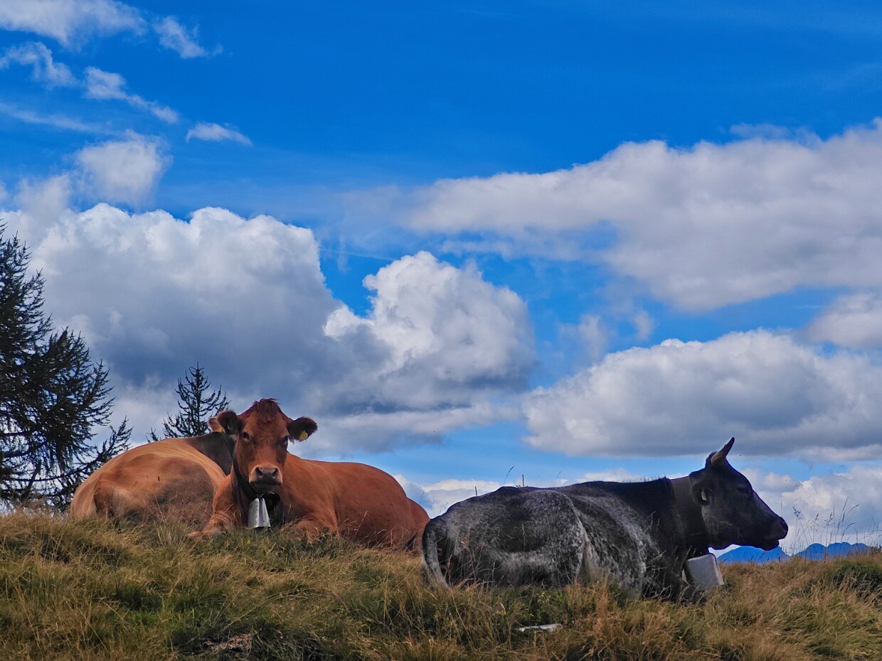 2025.08.03 Capanna Cava