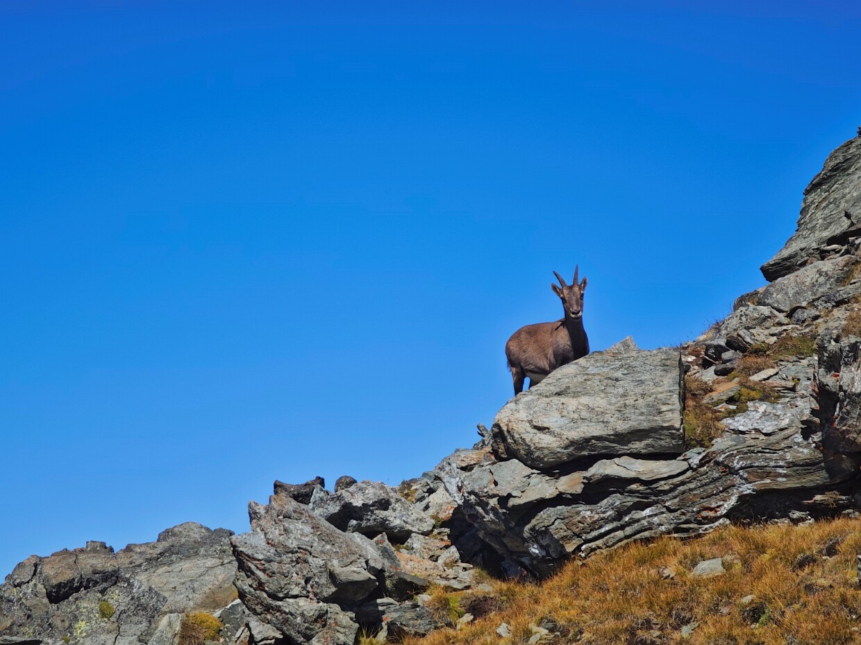 2025.08.31 Mont Glacier