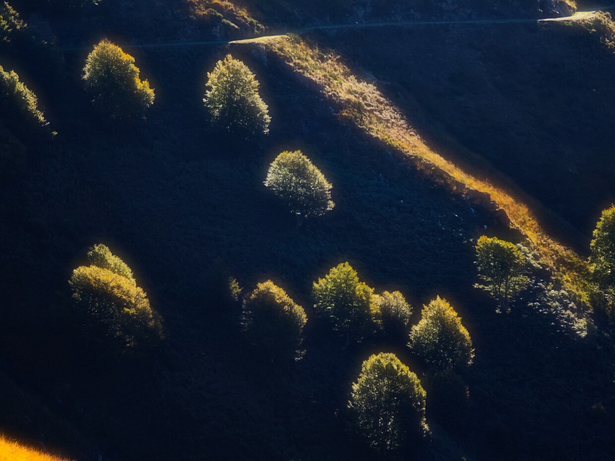 2025.10.05 Monte Zeda