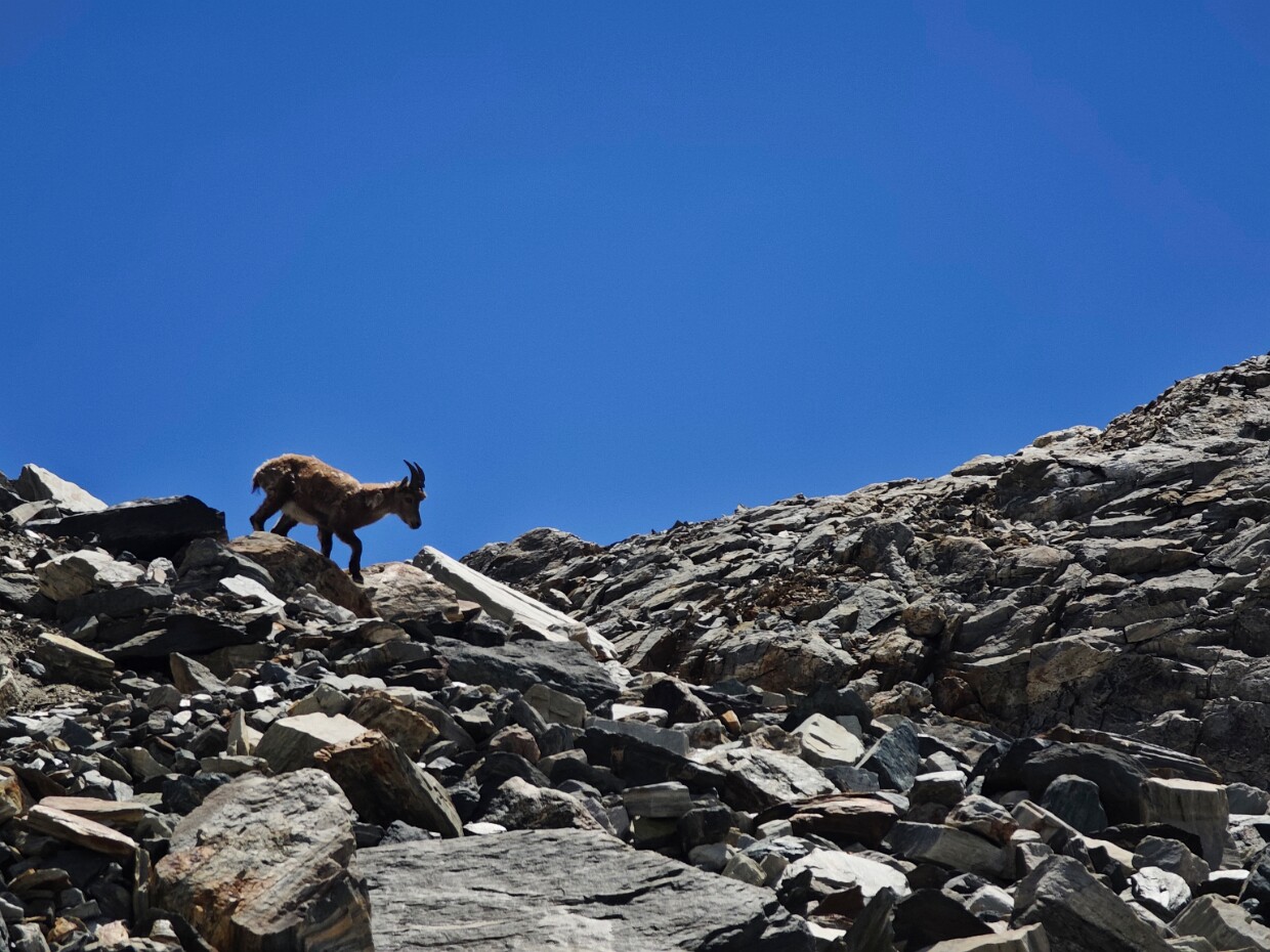 2026.06.22 Rifugio Mezzalama e Guide di Ayas