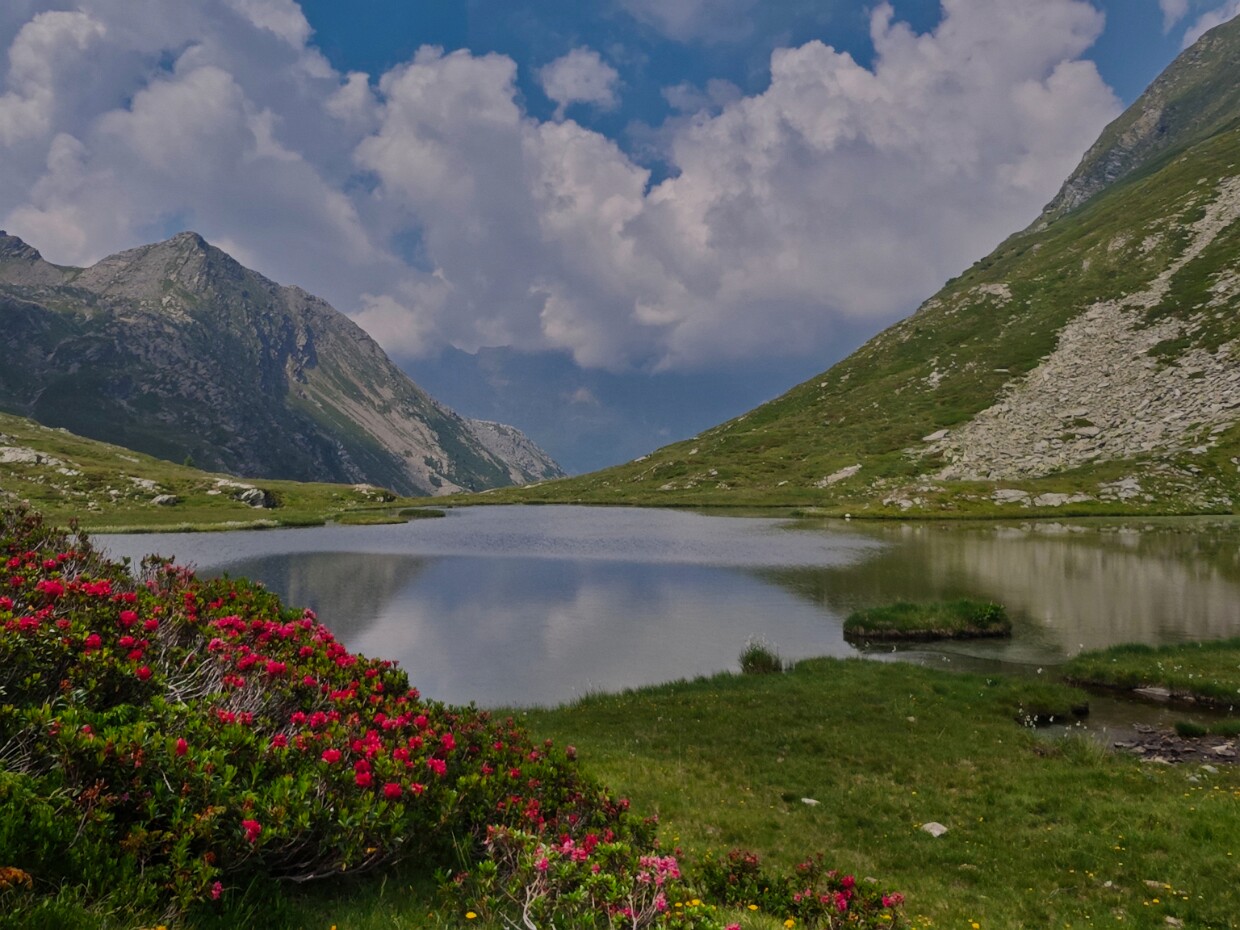 2026.06.27 Lago di Passit (San Bernardino)